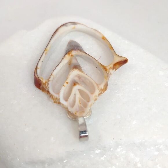 Seashell Slice Conch Pendant Glitter and Polysealed Handmade - Picture 6 of 12